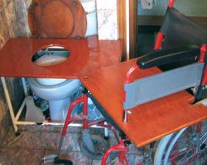 Bath transfer seat